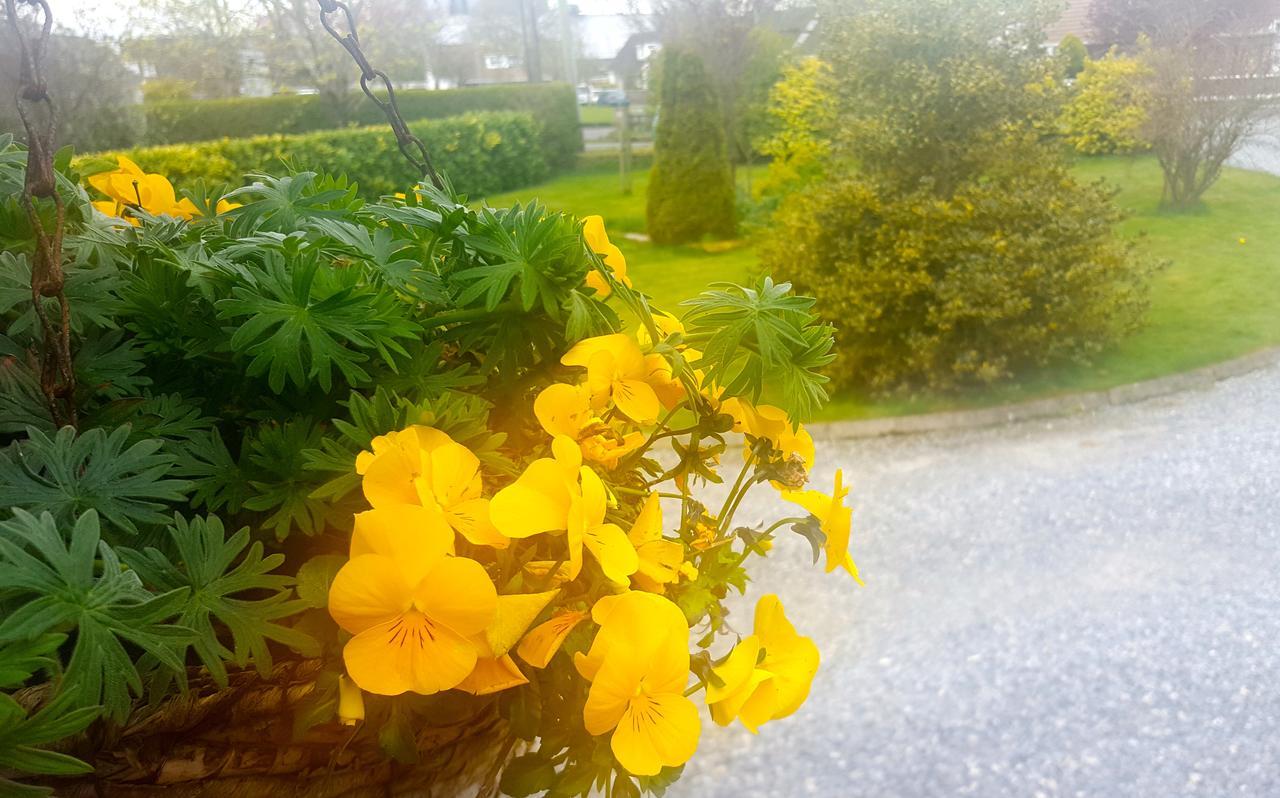 Ely House B&B Shannonbridge Exterior foto